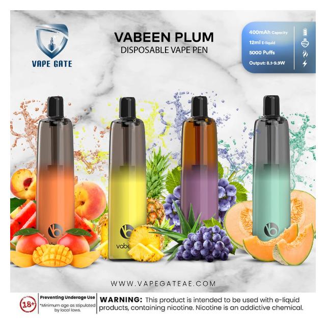 Vabeen Plum 5000 Puffs 50mg RECHARGEABLE 12mL Disposable