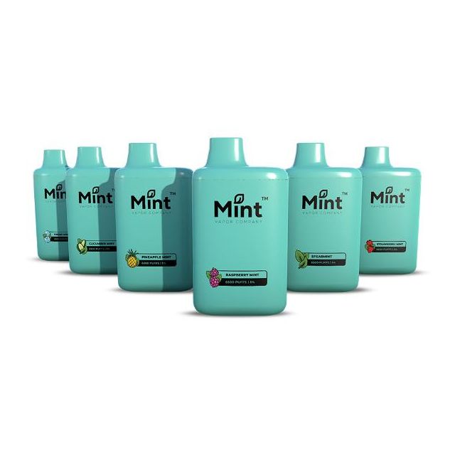 Best Flavors Vapetasia Mint Disposable Vape 16mL