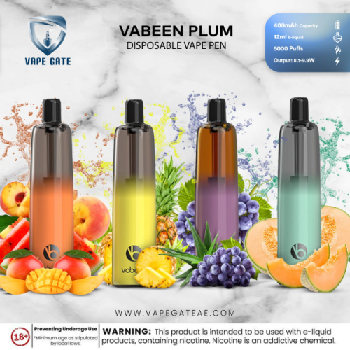 Vabeen Plum 5000 Puffs 50mg RECHARGEABLE 12mL Disposable